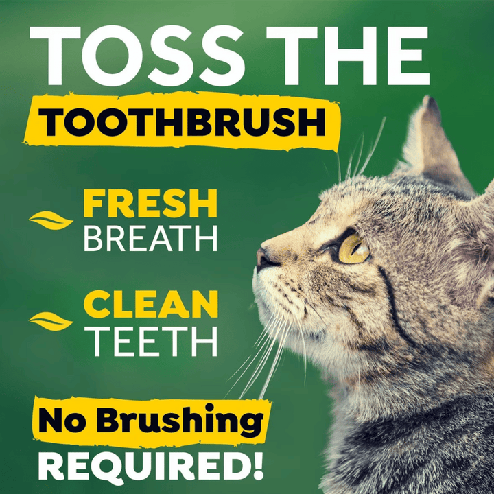Tropiclean Fresh Breath Oral Care Cat Water Additive | Kanu Pet