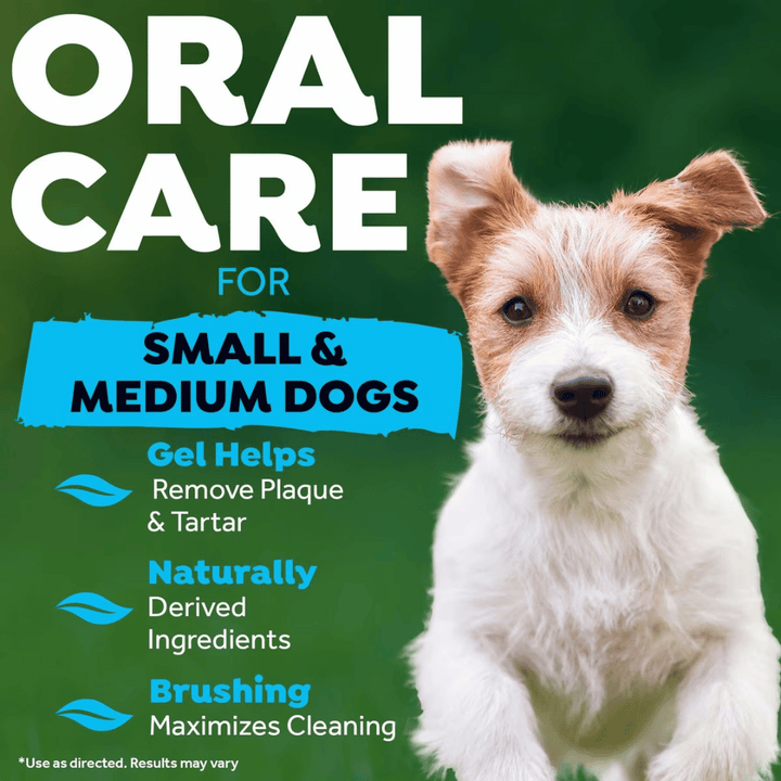 Tropiclean Fresh Breath Oral Care Dog Toothbrush Kit | Kanu Pet