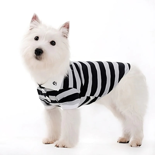 Dogo Pet  Stripe Polo Shirt Dog | Kanu Pets
