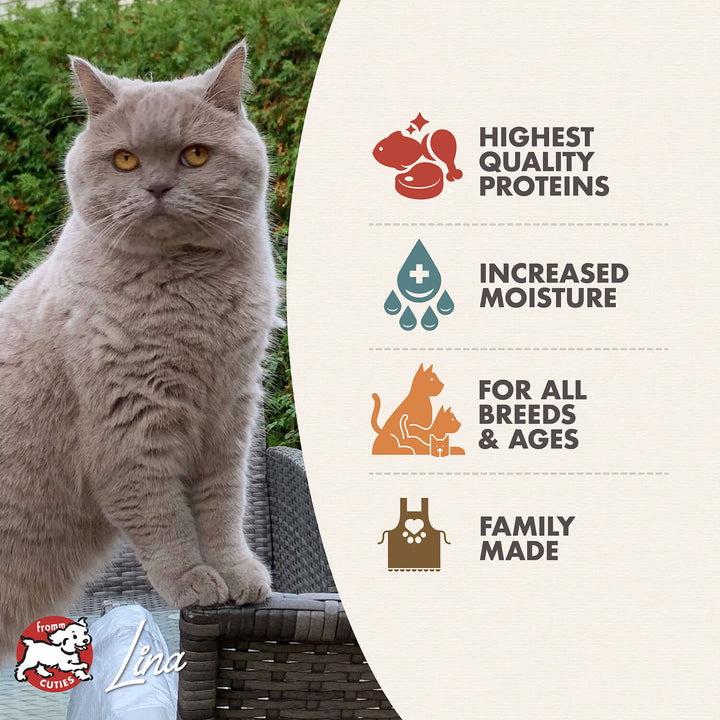 Fromm 4 Star Grain Free Chicken&Salmon Pate Cat Food 5.5 oz| Kanu Pet