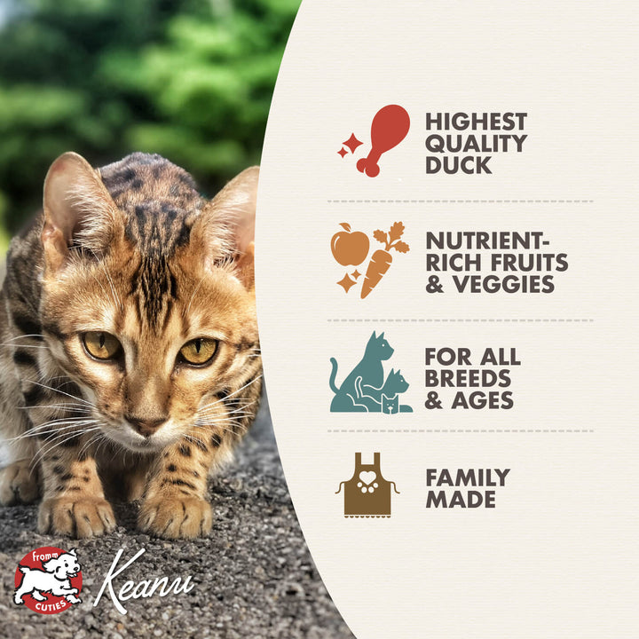 Fromm Duck À La Veg® Recipe Cat Food | Kanu Pet
