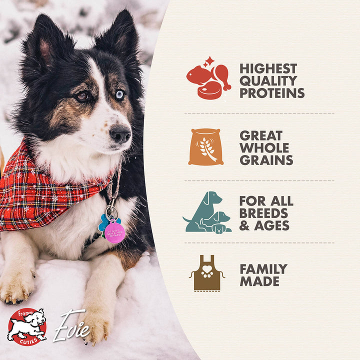 Fromm 4 Star Rancherosa GF Dog Dry Food | Kanu Pet