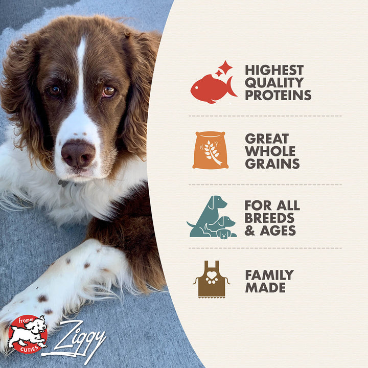 Fromm 4 Star Trout & Whitefish GF Dog Dry Food | Kanu Pet