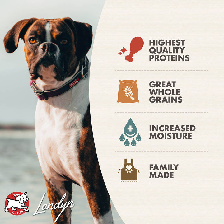 Fromm Dog Can GF Pate' Turkey, Duck & Sweet Potato 12.2 oz | Kanu Pet