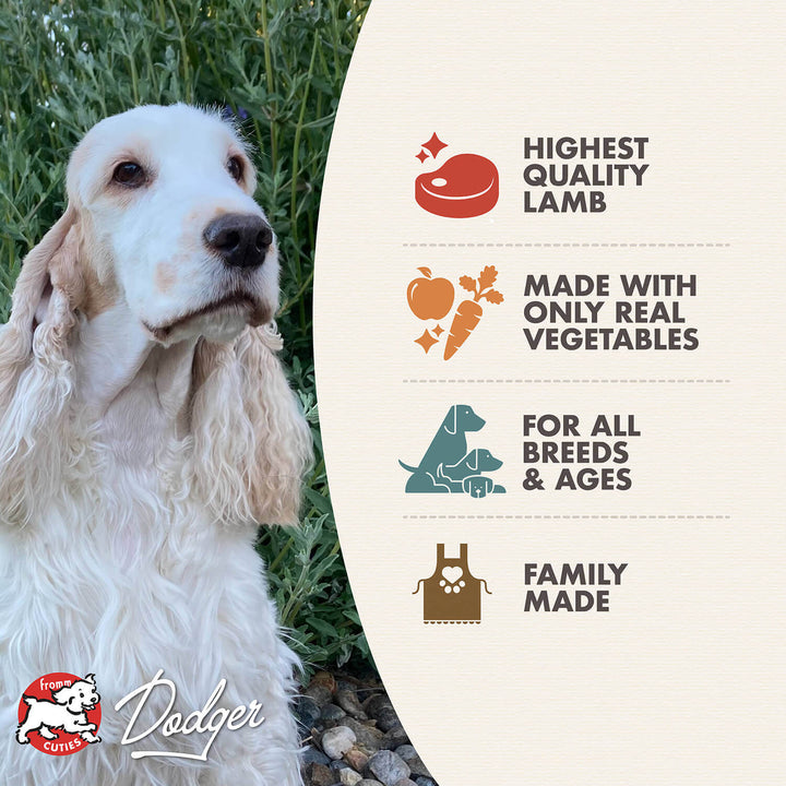 Fromm Dog Can Frommbalaya Lamb, Veg & Rice Rice Stew 12.5 oz| Kanu Pet