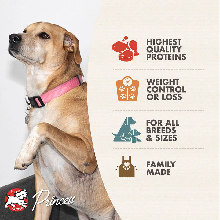 Fromm Gold Dog Dry Gold Coast GF Weight Management | Kanu Pet