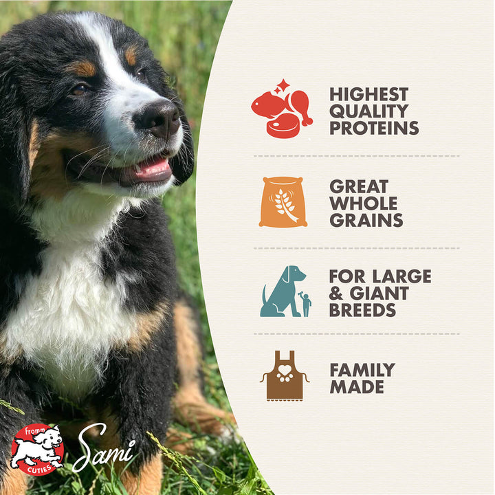 Fromm Gold Dog Dry Puppy Large Breed | Kanu Pet