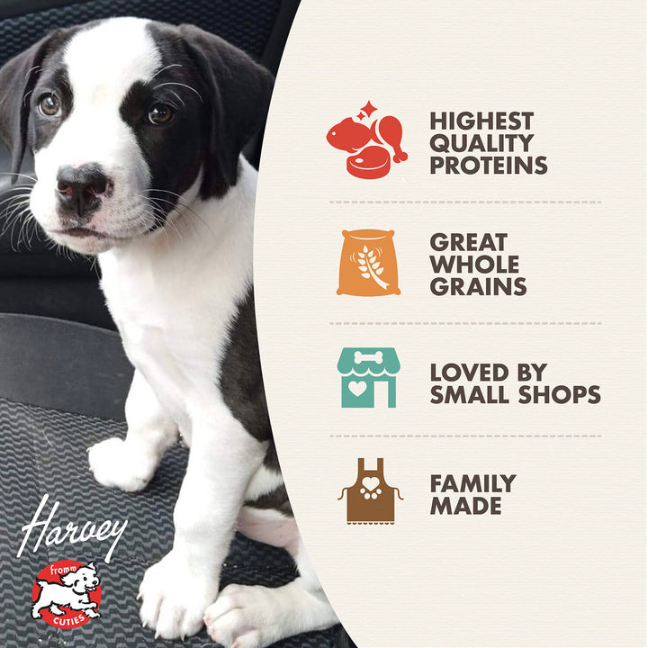 Fromm Gold Inclusive Puppy Dry Dog Food | Kanu Pet