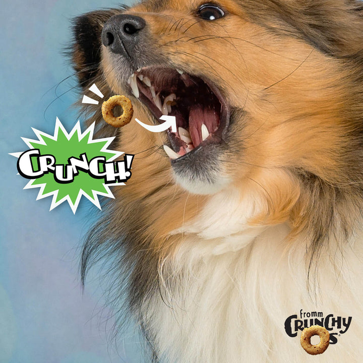 Fromm Treats Dog Crunchy o's Pumpinkin Kran Pow 6 oz | Kanu Pet