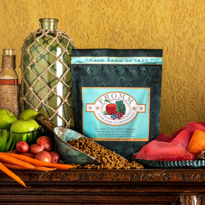 Fromm four star Salmon Tunachovy Recipe Dry Cat Food | Kanu Pet