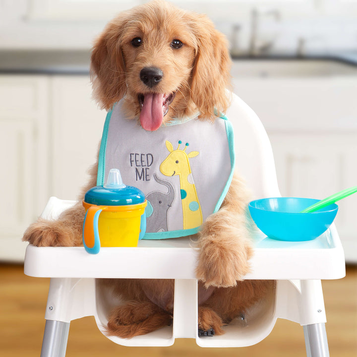 Fromm Gold Dog Dry Puppy Large Breed | Kanu Pet