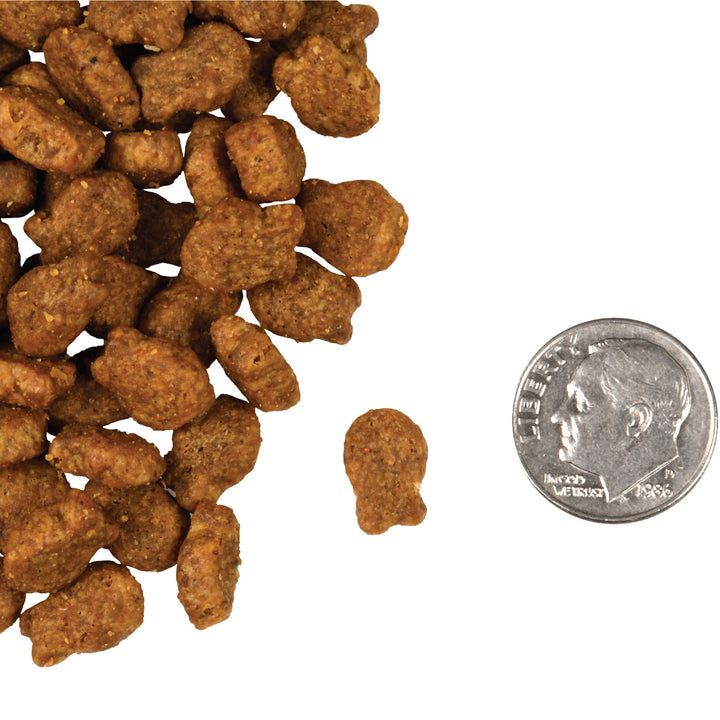 Fromm four star Salmon Tunachovy Recipe Dry Cat Food | Kanu Pet