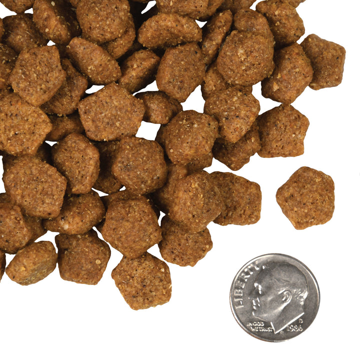 Fromm 4 Star Chicken au Frommage GF Cat Dry Food | Kanu Pet
