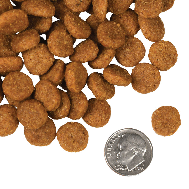 Fromm 4 Star Salmon À La Veg GF Dog Dry Food | Kanu Pet