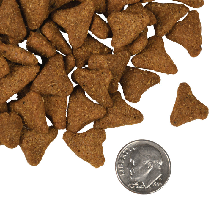 Fromm 4 Star Grain Free Dog Dry Food | Kanu Pet