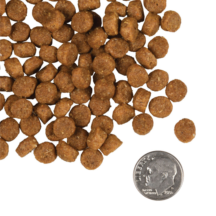 Fromm Gold Dog Dry Puppy Large Breed | Kanu Pet