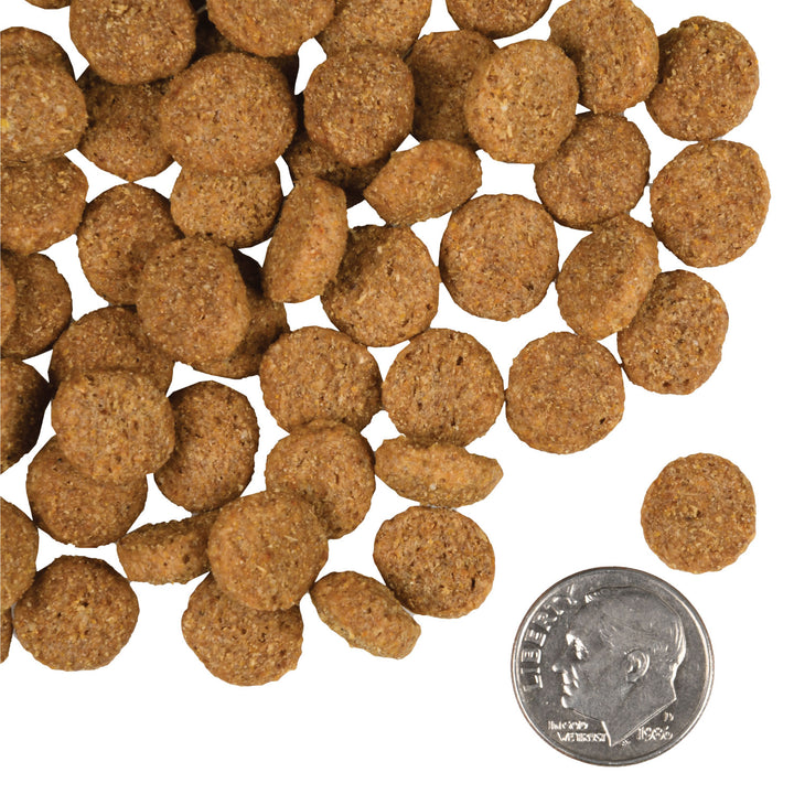 Fromm Gold Dog Dry Large Breed | Kanu Pet