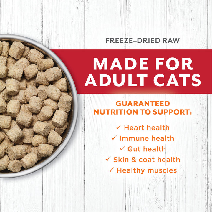 Instinct Raw Longevity Freeze-Dried Beef & Wild-Caught Cat| Kanu Pet