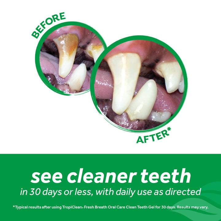 Tropiclean Fresh Breath Oral Care 2-Week Dog Trial Kit | Kanu Pet