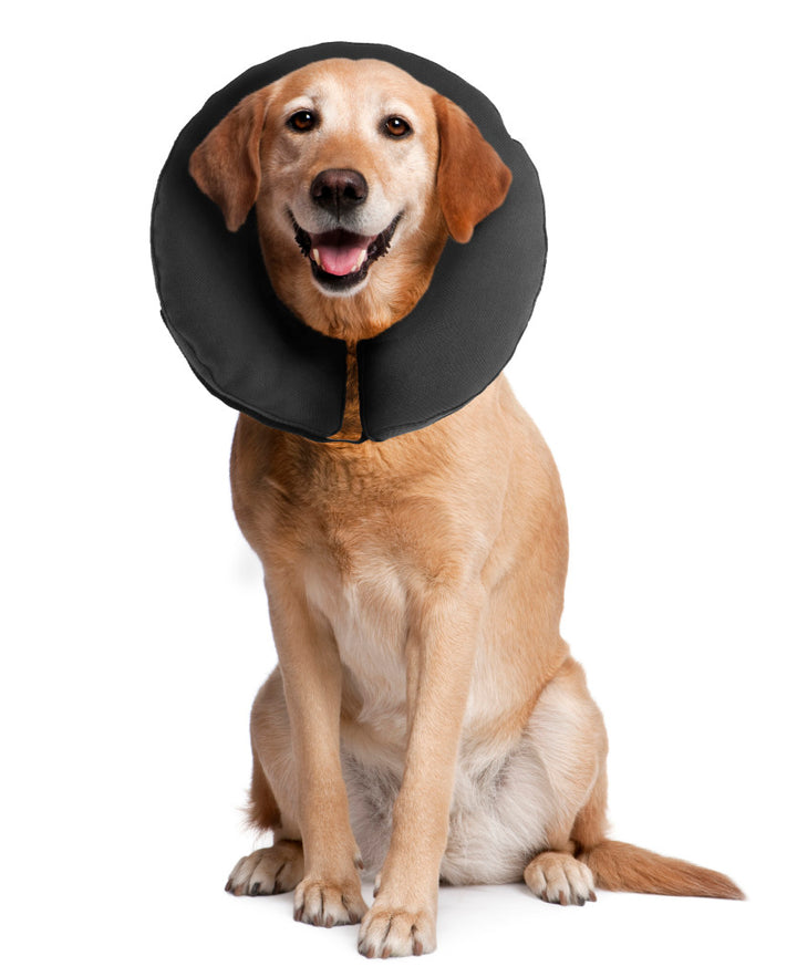 ZenPet Zencollar Inflatable Large