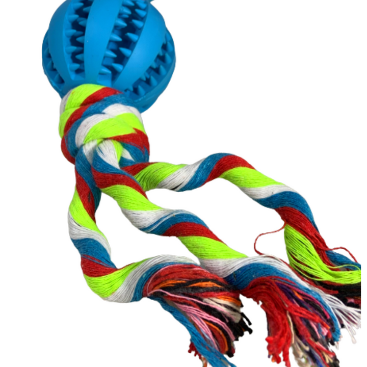 Kanu Pet Tie With Ball Dog Toy | Kanu Pet