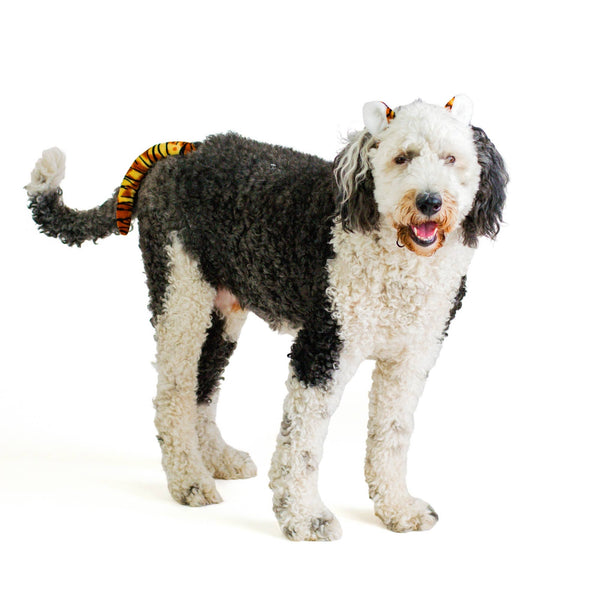Midlee Designs Halloween Tiger Headband  Dog Costume | Kanu Pets