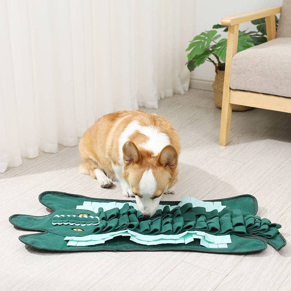 Cheerhunting Snuffy Crocodile Dog Interactive Toy | Kanu Pet