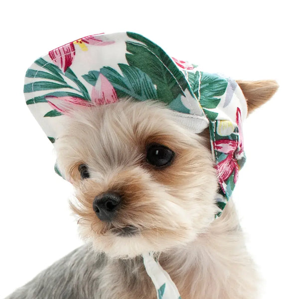 Dogo Pet Bucket Dog Hat Lemon Pink | Kanu Pet