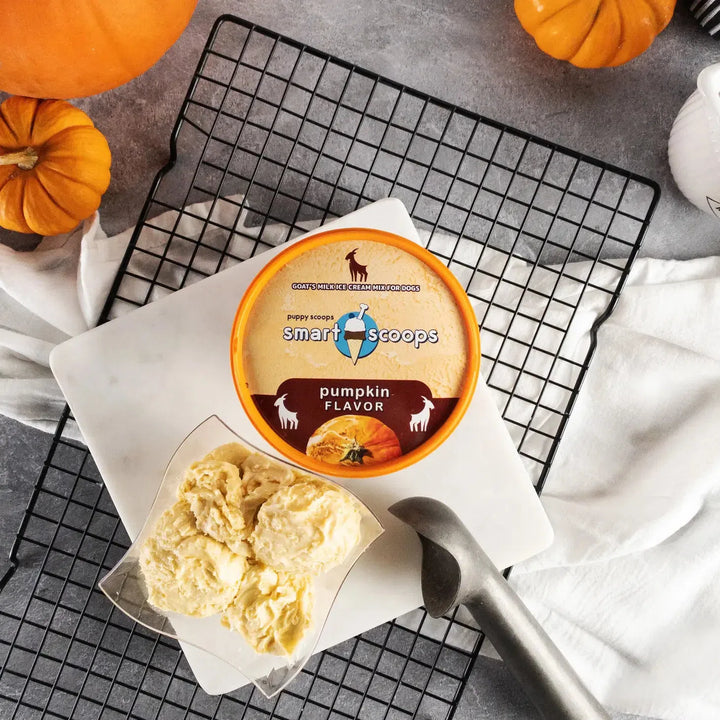 Puppy Cake Smart Scoops Goat's Milk Ice Cream Mix - Pumpkin