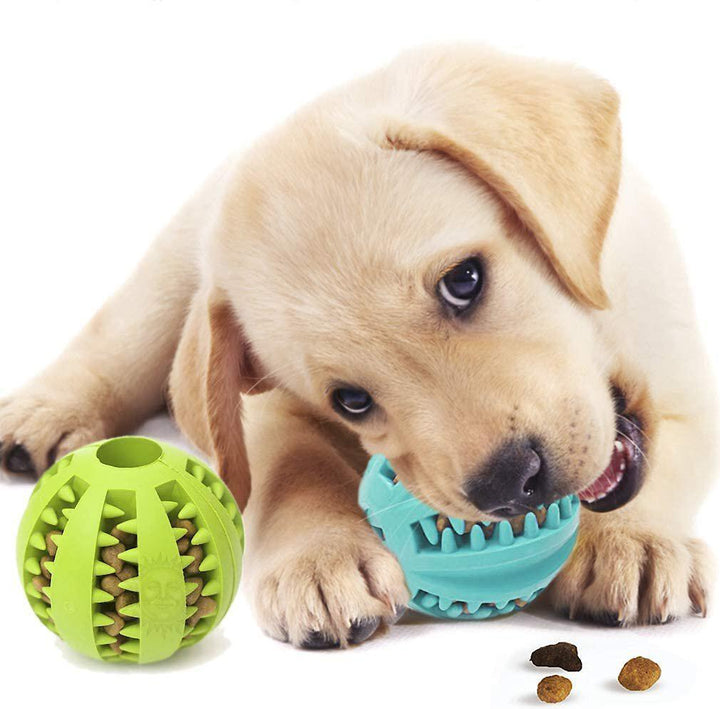 Kanu Pet Toothbrush Holder Puppy Treat Dispenser & Toy | Kanu Pet