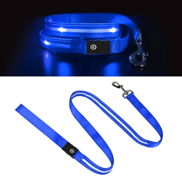 Ksproducers Dotted LED Flashing Dog Leash | Kanu Pet