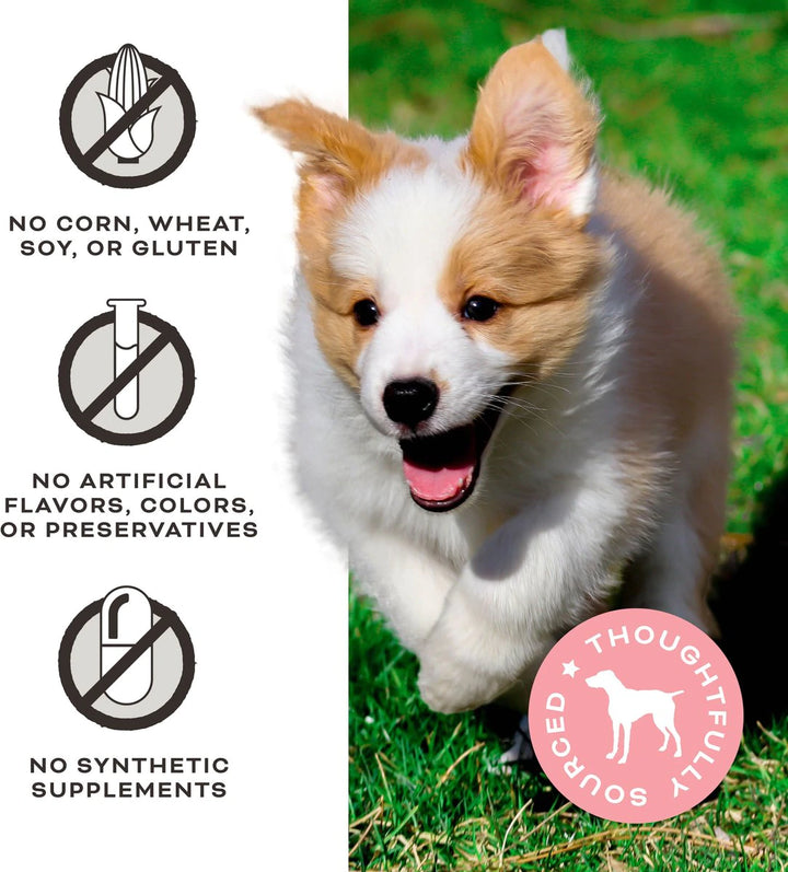 Primal Freeze-Dried Pork Treats for Dogs 1.5oz