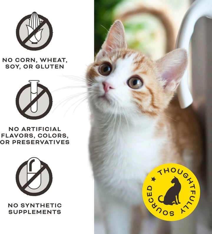 Primal Crunchy Freeze-Dried Pork Treats for Cats 1 Oz | Kanu Pet