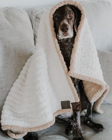 Tall Tails Blanket Micro Sherpa 30X40 Cream Bone