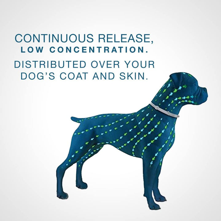 Seresto Flea & Tick Small Dog Collar | Kanu Pet