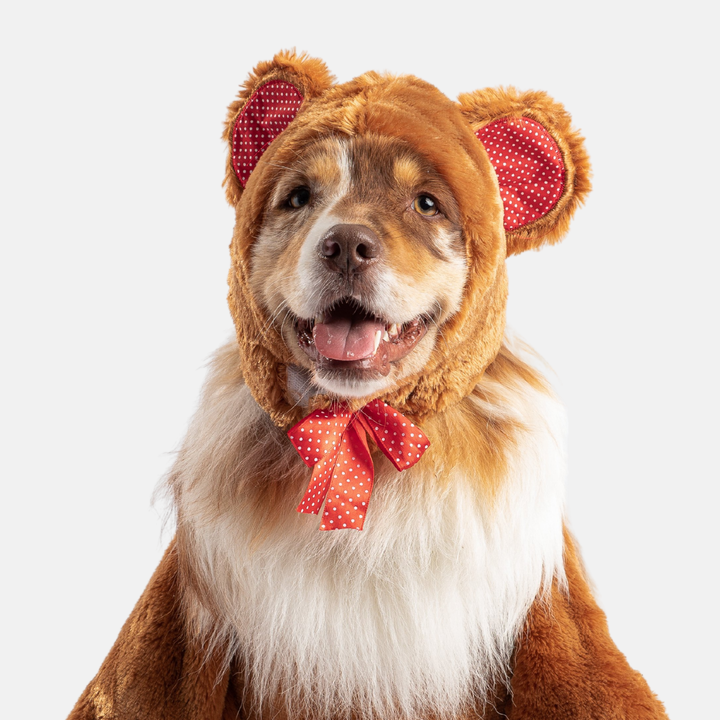 Silver Paw Teddy Bear Dog Costume | Kanu Pets