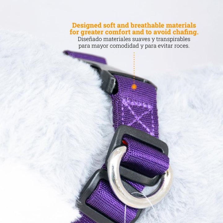 Kanu Pet Purple Dog Collar| Kanu Pet