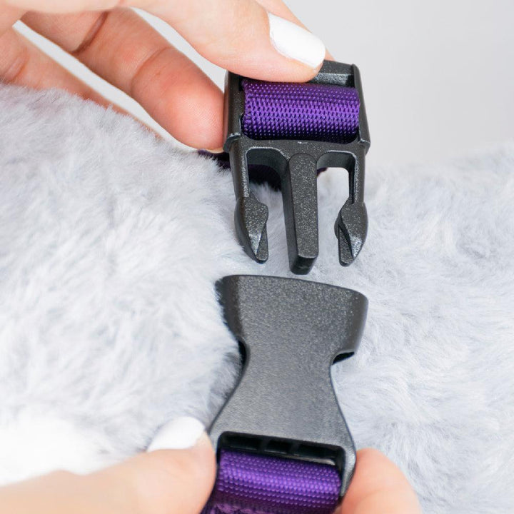 Kanu Pet Purple Dog Collar| Kanu Pet