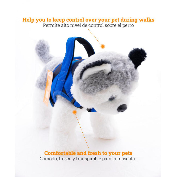 Kanu Pet Bruce Blue Dog Harness | Kanu Pet