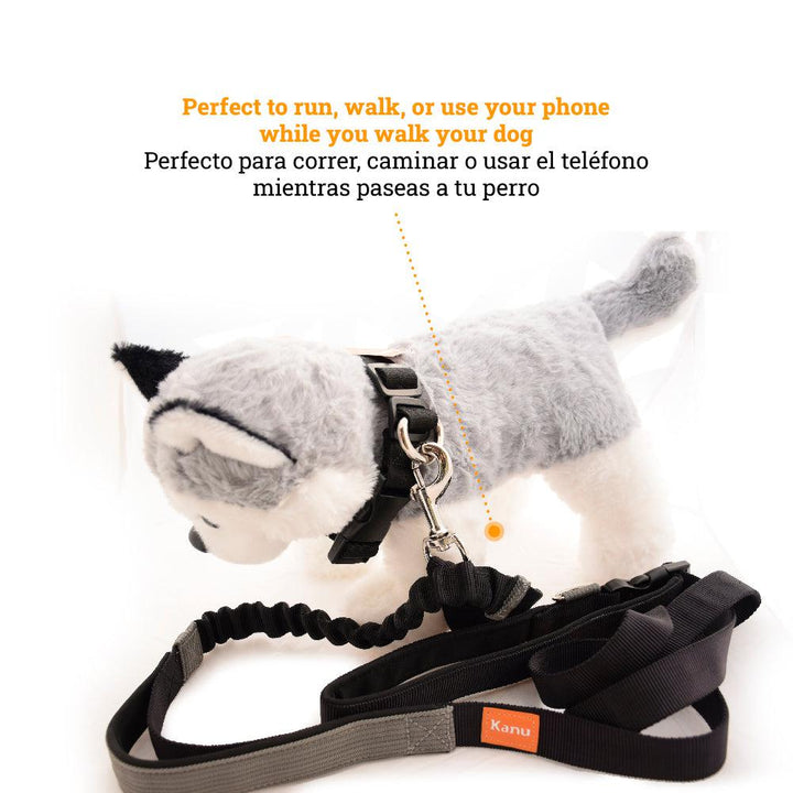 Kanu Pet Sport Black Dog Leash | Kanu Pet