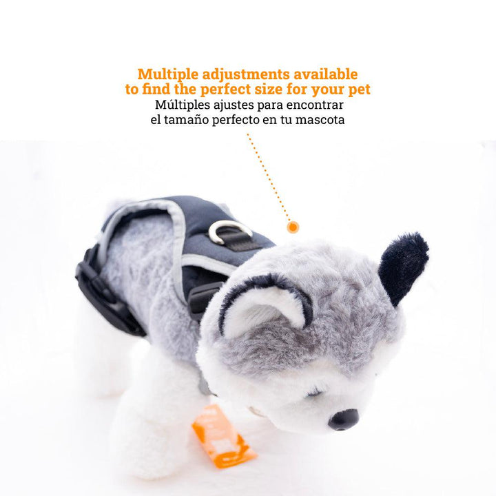 Kanu Pet Max Gray Dog Harness | Kanu Pet