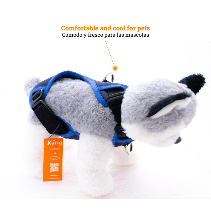 Kanu Pet Max Blue Dog Harness | Kanu Pet