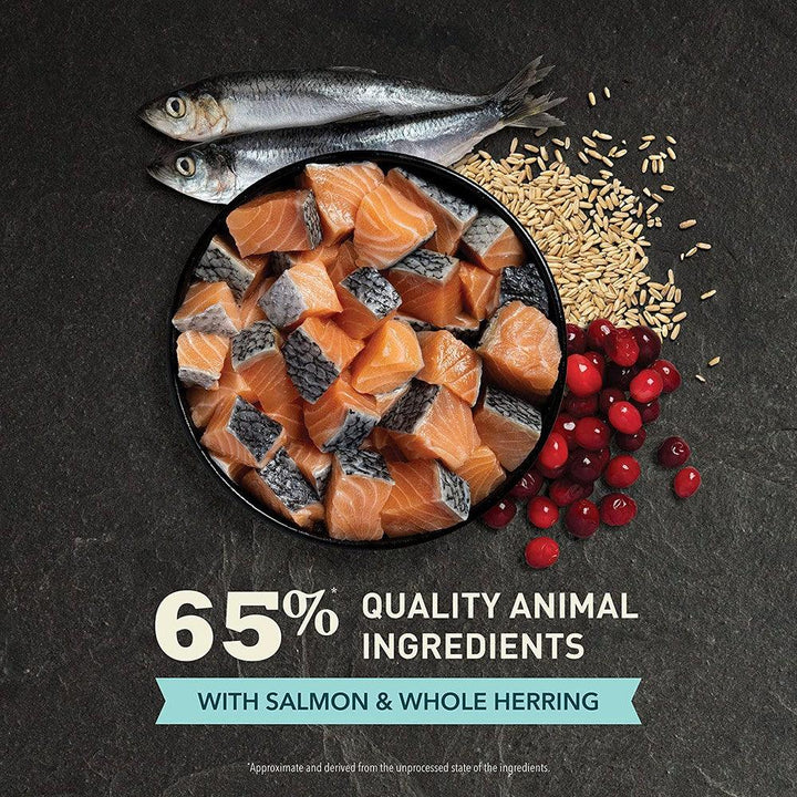 Acana Bountiful Catch with Wild Caught Salmon Cat Food Purchase  | Kanu Pet
