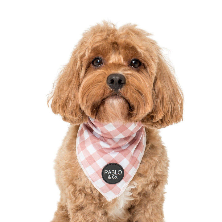 Pablo & Co. Chocolate Gingham Dog Bandana | Kanu Pet