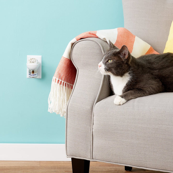 Feliway Classic Plug-in Home Diffuser Starter Kit for Cats | Kanu Pet