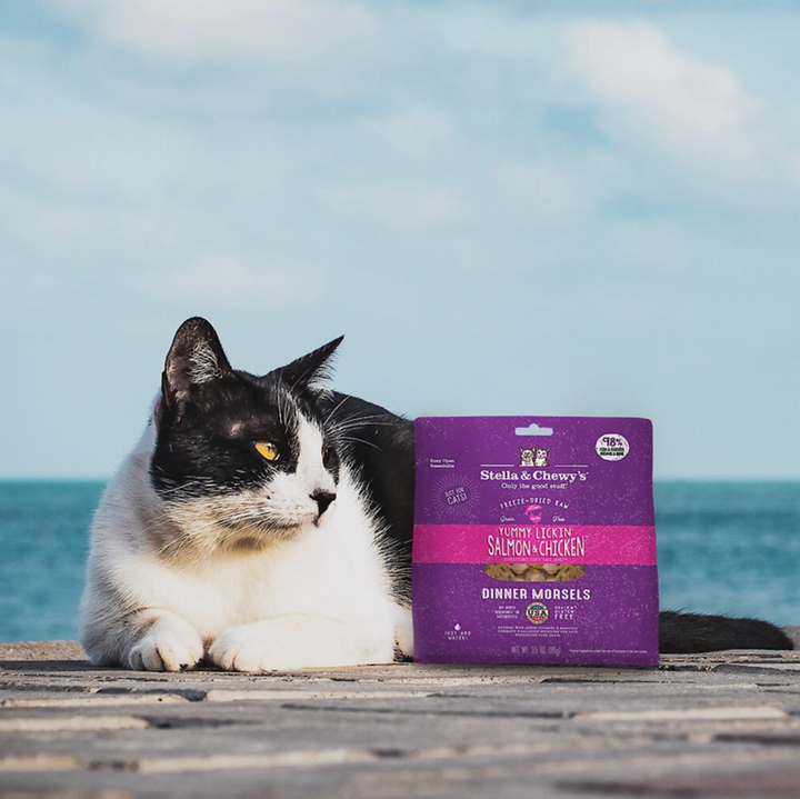 Stella & Chewy's Yummy Lickin Salmon & Chicken Cat Food | Kanu Pet