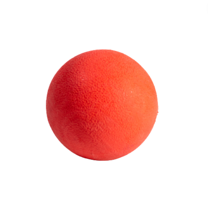 Kanu Pet Red Ball Dog Toy | Kanu Pet