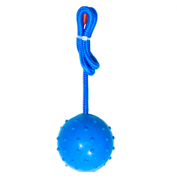 Kanu Pet Rubber Ball on Rope Tug Dog Toy | Kanu Pet