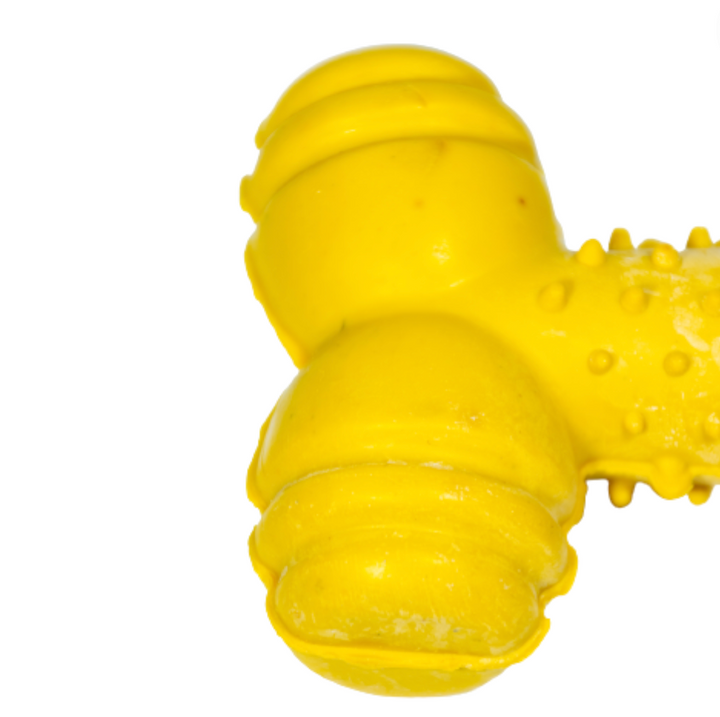 Kanu Pet  Durable Rubber Bone Dog Toy | Kanu Pet