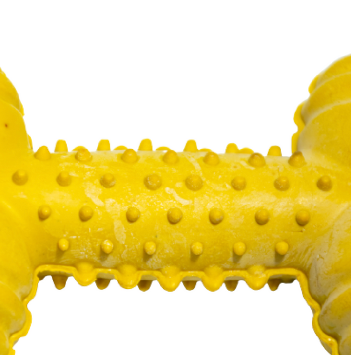 Kanu Pet  Durable Rubber Bone Dog Toy | Kanu Pet